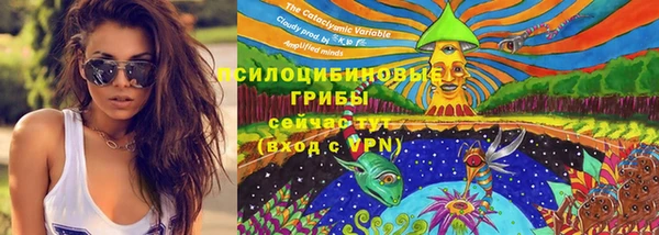 ALPHA-PVP Кинешма