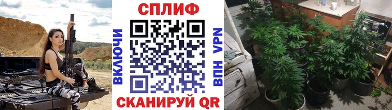 Купить где Темников Конопля Bruce Banner